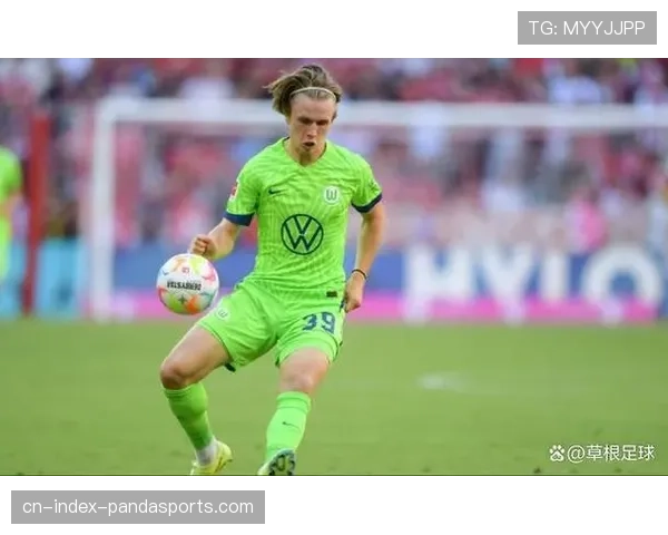 阿莫拉8球沃尔夫斯堡进攻核心 奥地利前锋技术全面